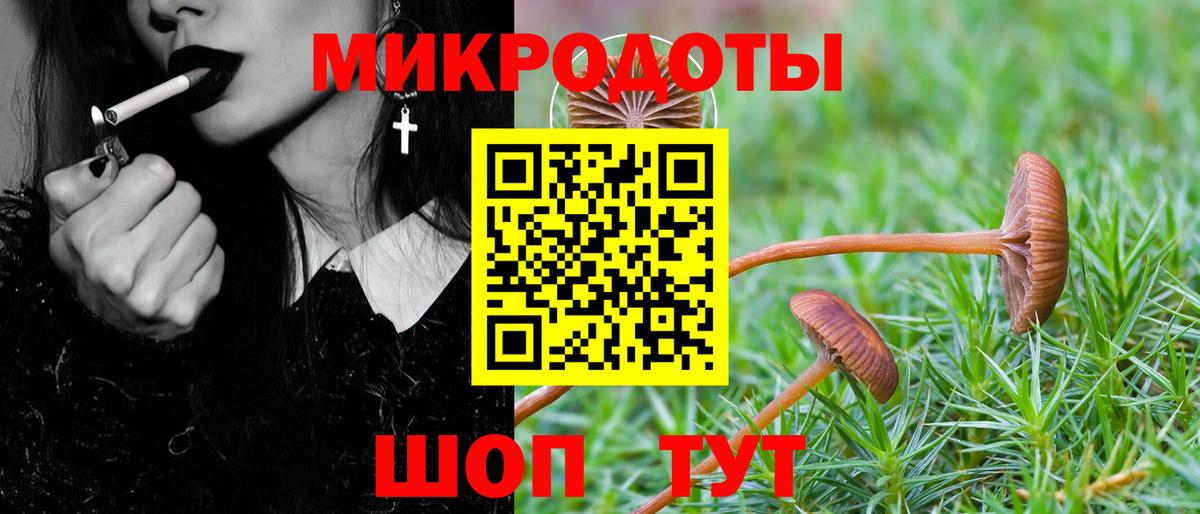 Надым  магазин    Вход с VPN  Псилоцибиновые грибы GOLDEN TEACHER  Псилоцибиновые грибы GOLDEN TEACHER 